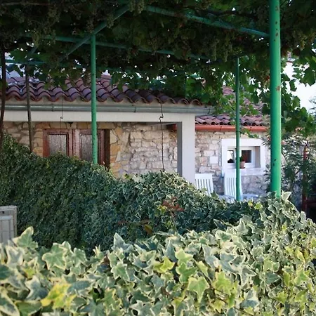 Iva * Nedeščina
